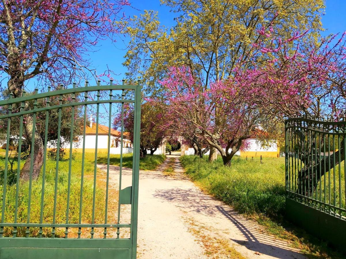 Casas Herdade Do Convento Da Serra Almeirim Buitenkant foto