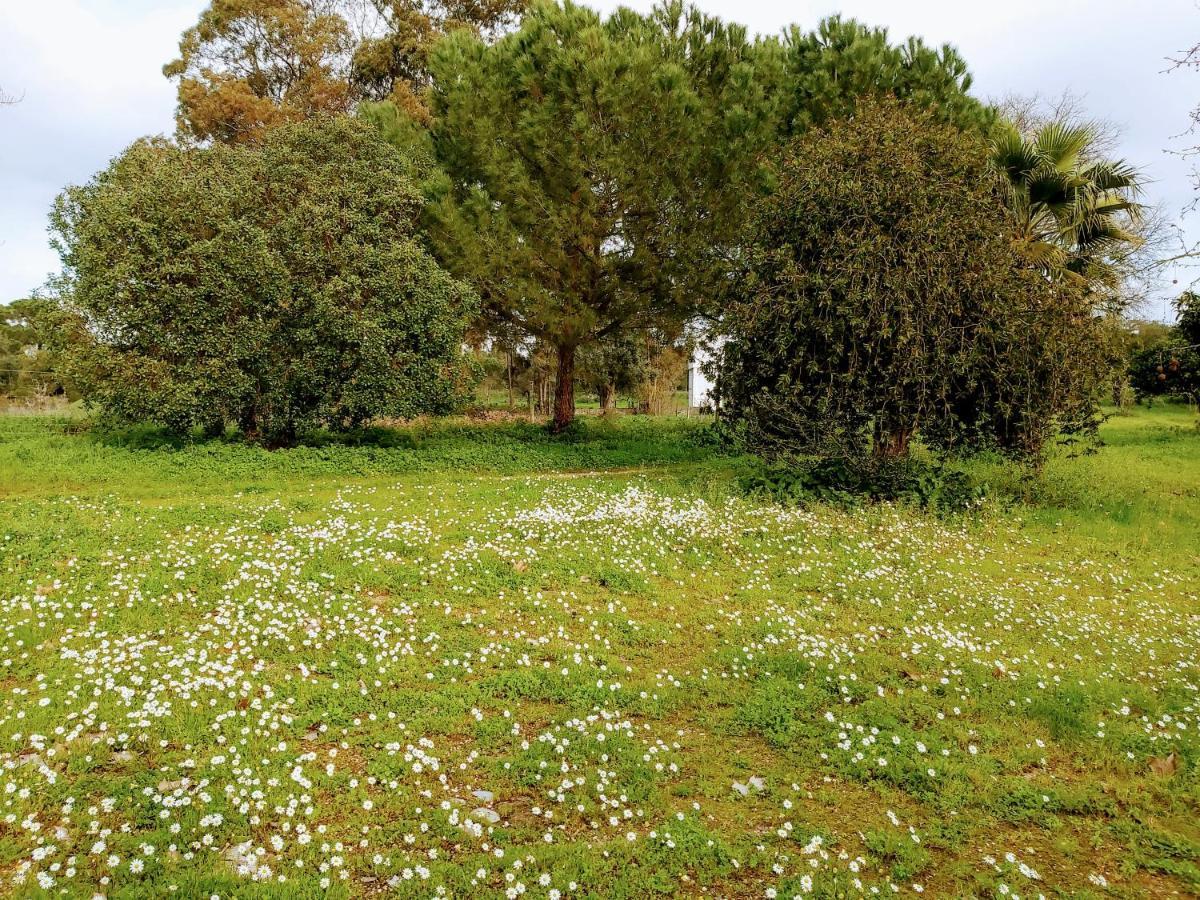 Casas Herdade Do Convento Da Serra Almeirim Buitenkant foto