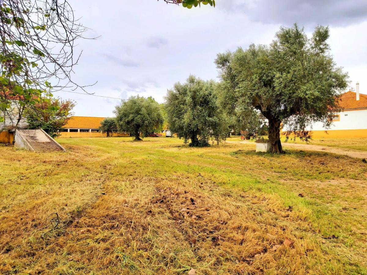 Casas Herdade Do Convento Da Serra Almeirim Buitenkant foto