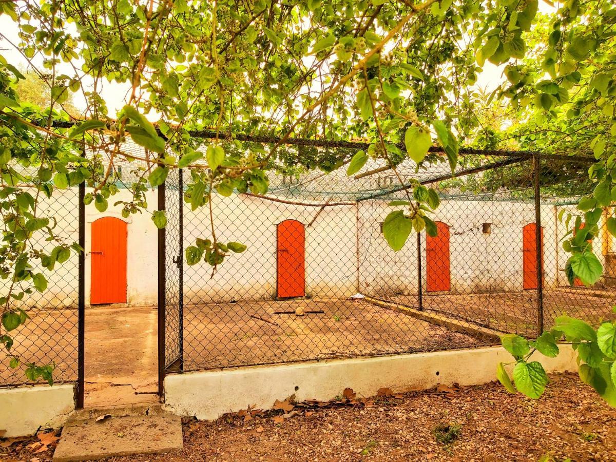 Casas Herdade Do Convento Da Serra Almeirim Buitenkant foto