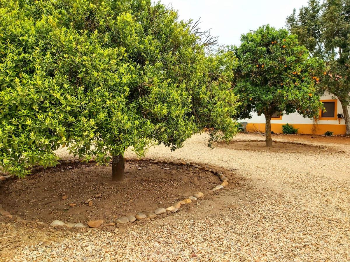 Casas Herdade Do Convento Da Serra Almeirim Buitenkant foto