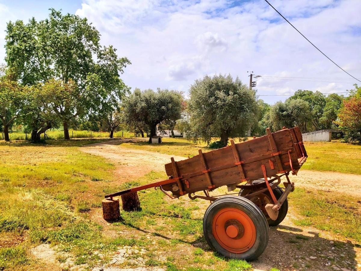 Casas Herdade Do Convento Da Serra Almeirim Buitenkant foto