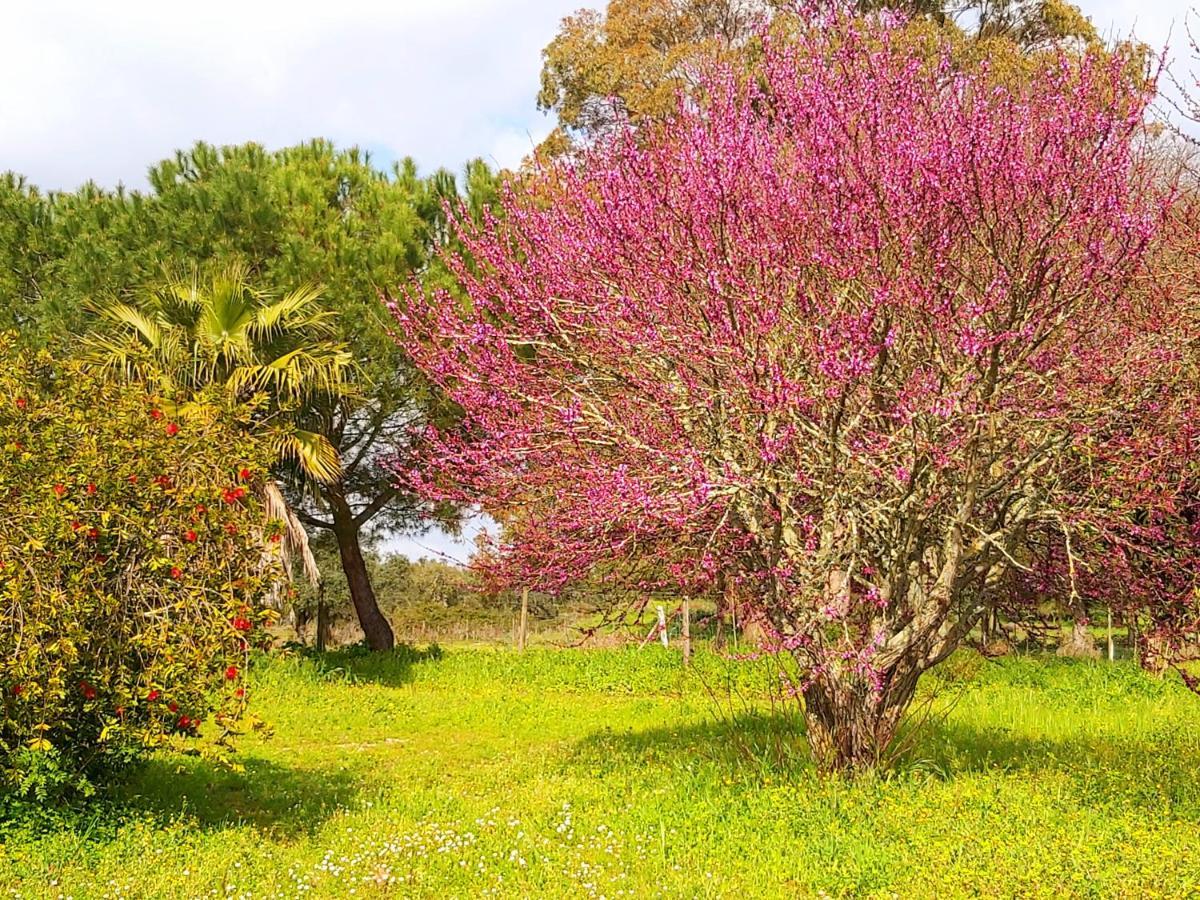 Casas Herdade Do Convento Da Serra Almeirim Buitenkant foto