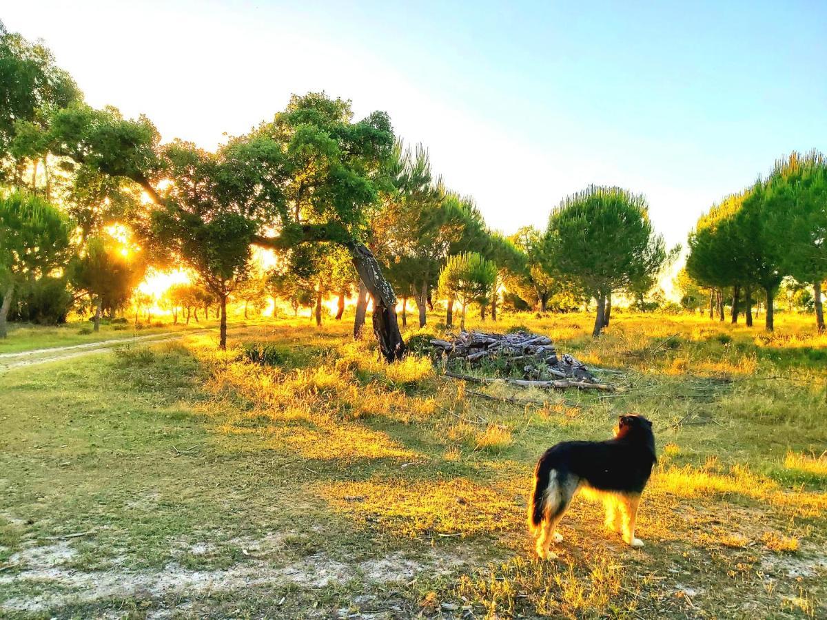 Casas Herdade Do Convento Da Serra Almeirim Buitenkant foto