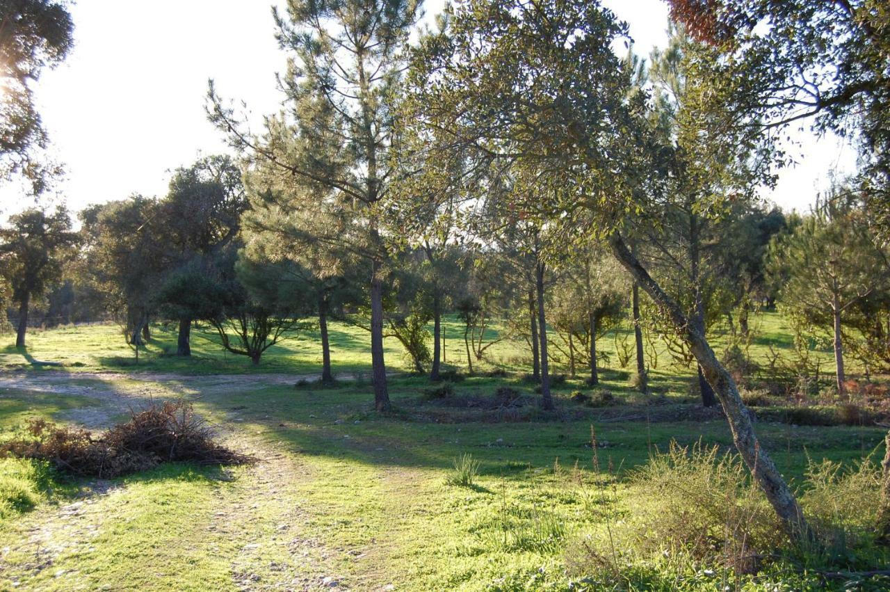 Casas Herdade Do Convento Da Serra Almeirim Buitenkant foto