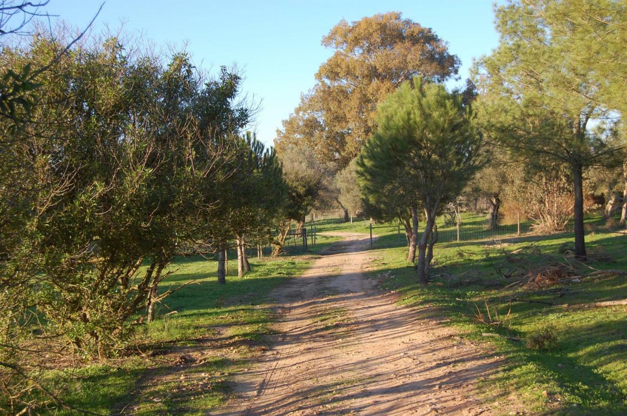 Casas Herdade Do Convento Da Serra Almeirim Buitenkant foto