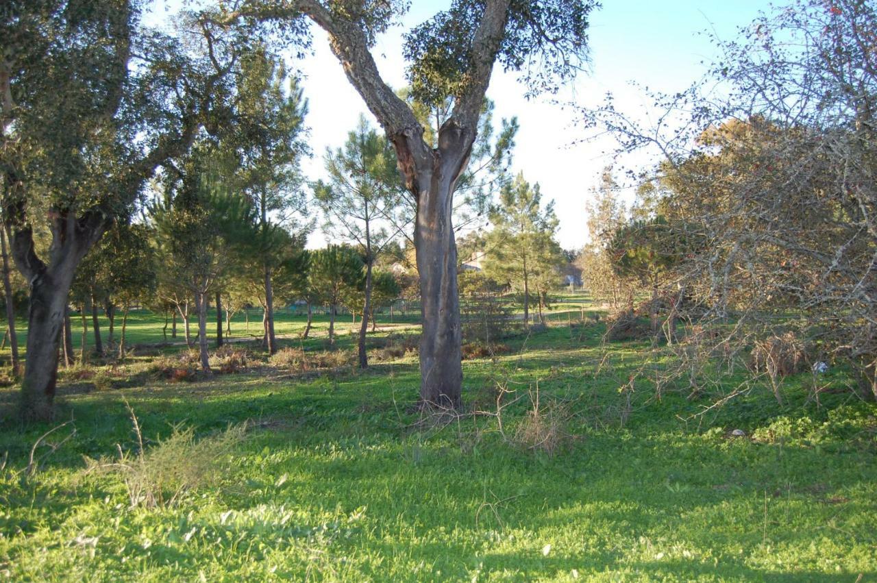 Casas Herdade Do Convento Da Serra Almeirim Buitenkant foto